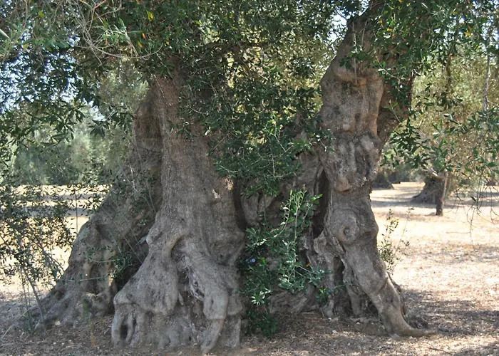 MessapiaBed and Breakfast